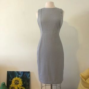 Classic Sheath Dress - Calvin Klein - NWT